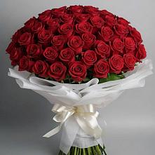 Букет 101 Красная роза Блэк Мэджик #REPLACE_PRED# Усть-Карске