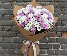 Букет цветов из:  Хризантемы #REPLACE_PRED# Усть-Карске