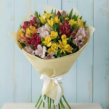 Букет цветов из:  Альстромерии в Усть-Карске