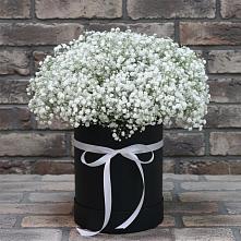 Цветочная композиция из Гипсофила в шляпной коробке в Усть-Карске