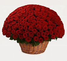 Премиум букет из: Розы #REPLACE_PRED# Усть-Карске